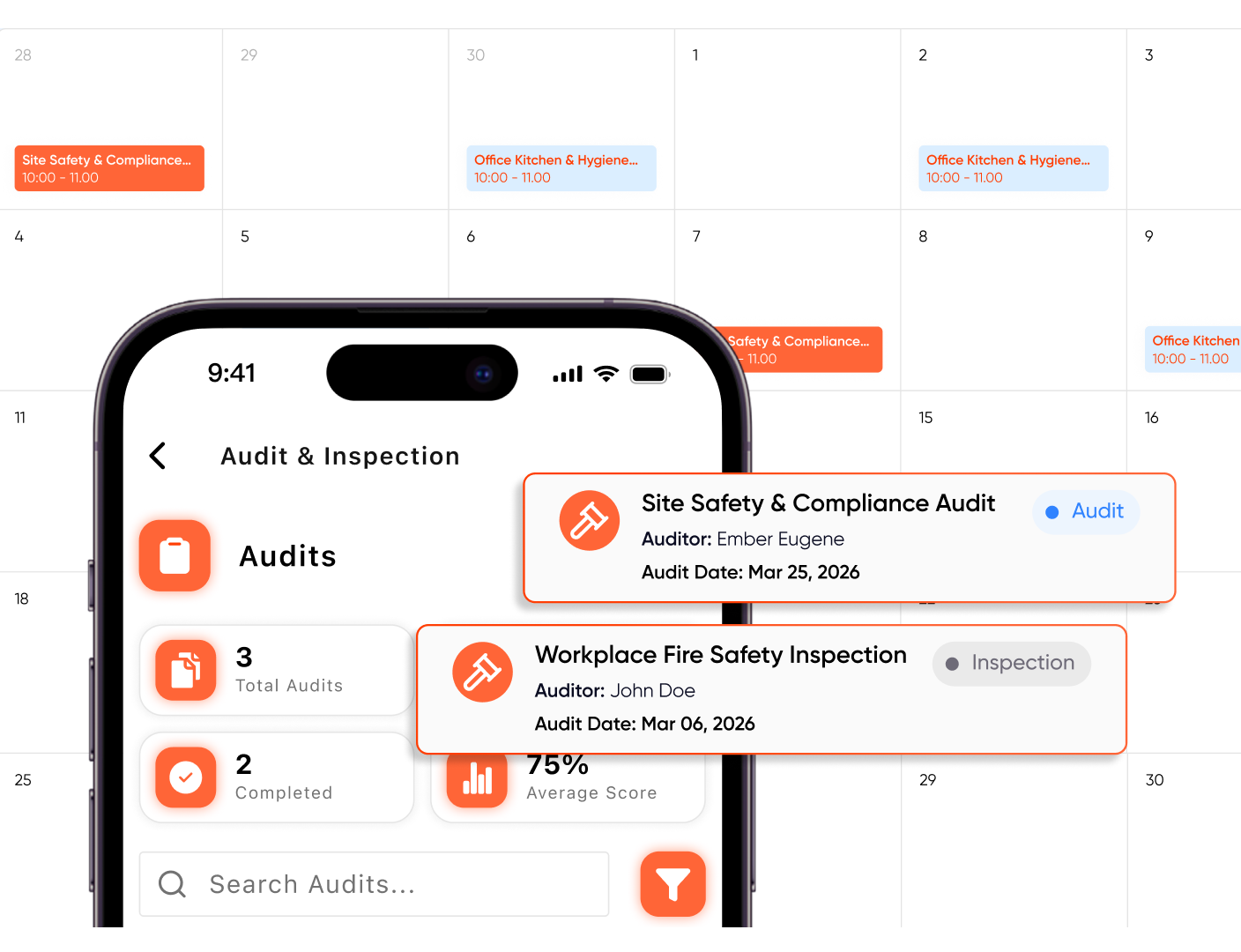 Scheduling and Running Audits