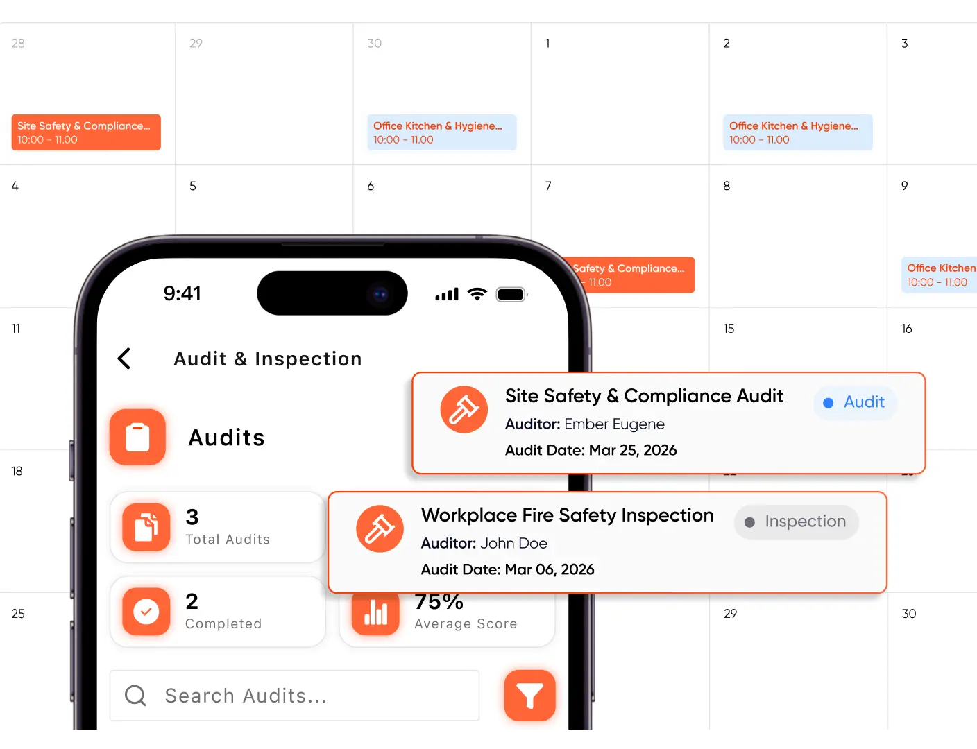 Scheduling and Running Audits
